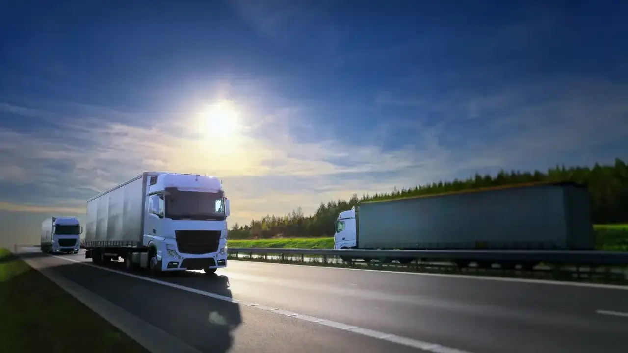 Camiones blancos circulan por la autopista bajo un cielo azul y soleado. El carnet TIR es esencial para estos transportes.