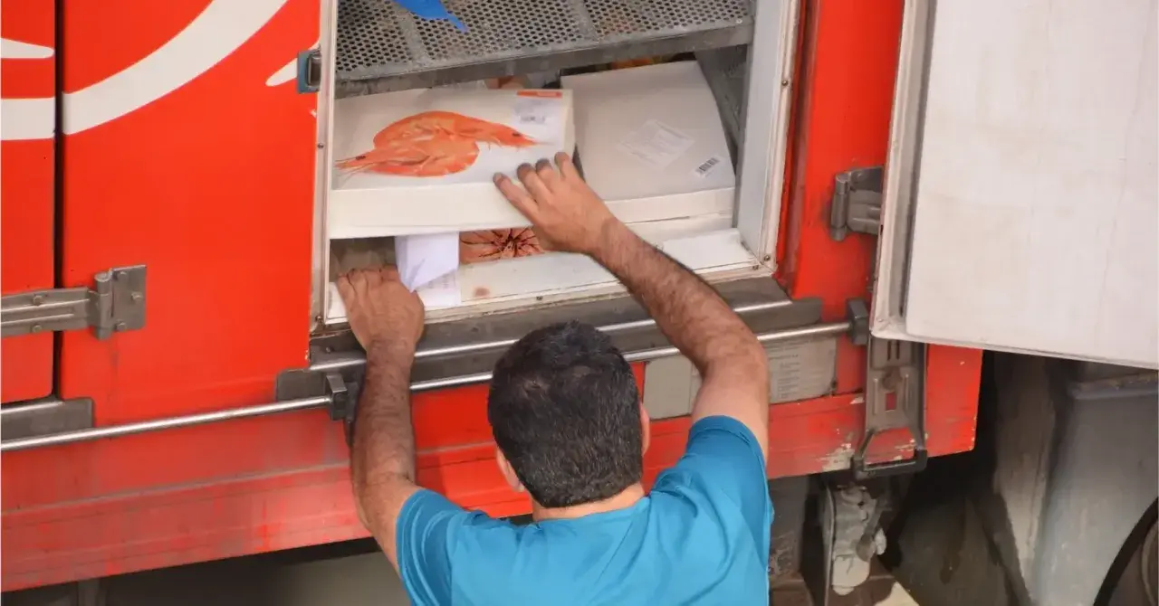 Hombre cargando cajas de camarones en un camión refrigerado, parte del transporte de alimentos por carretera.