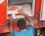Hombre cargando cajas de camarones en un camión refrigerado, parte del transporte de alimentos por carretera.