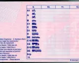 Carnet de moto 15 años, con categorías A1, A y B. Muestra iconos de vehículos y campos para datos personales y validez.