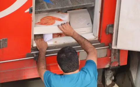 Hombre cargando cajas de camarones en un camión refrigerado, parte del transporte de alimentos por carretera.