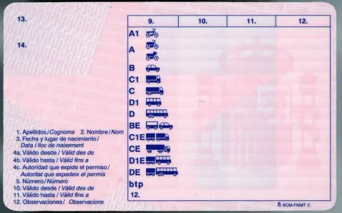 Carnet de moto 15 años, con categorías A1, A y B. Muestra iconos de vehículos y campos para datos personales y validez.
