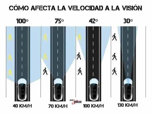La velocidad influye en el campo visual del conductor. A 40 km/h, el campo es de 100°, pero a 130 km/h se reduce a 30°, mostrando cómo la visión se estrecha.