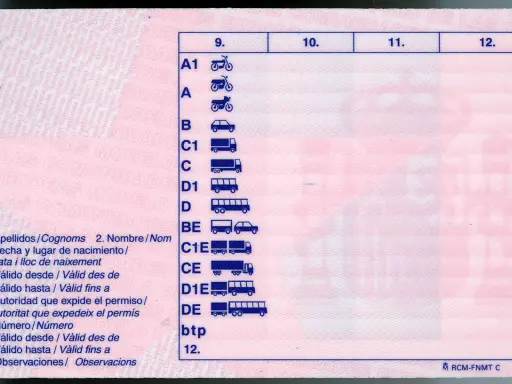 Carnet de moto 15 años, con categorías A1, A y B. Muestra iconos de vehículos y campos para datos personales y validez.