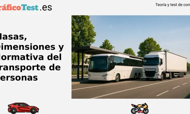 Un autobús blanco y un camión blanco esperan en una parada. ¿Cuánto pesa un autobús? Aprende sobre masas y dimensiones.