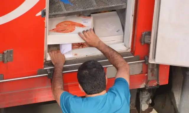 Hombre cargando cajas de camarones en un camión refrigerado, parte del transporte de alimentos por carretera.