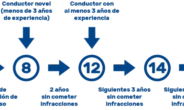 El carnet de conducir muestra cuántos puntos se tienen: 8 para noveles, 12 tras 2 años sin infracciones, y 14 tras 3 años más sin ellas.