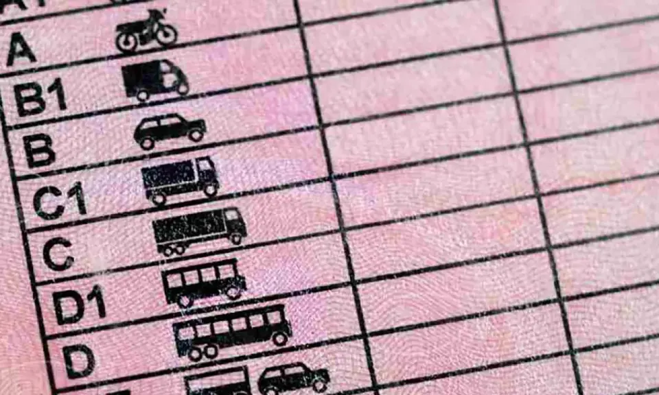Detalle de un permiso de conducir con iconos de vehículos, incluyendo motocicletas, coches y camiones. Muestra las diferentes categorías de permisos de moto y otros vehículos.
