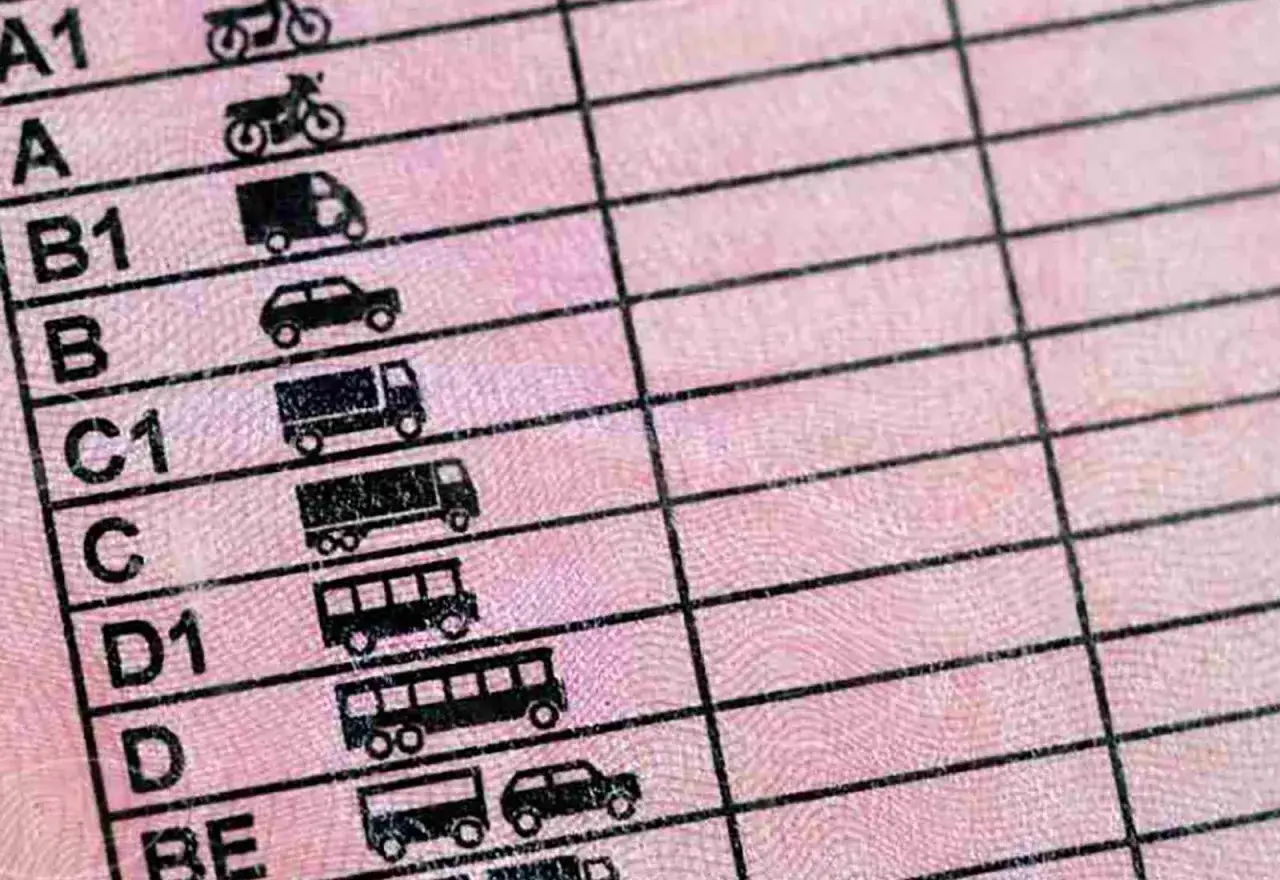 Detalle de un permiso de conducir con categorías de vehículos, como motos, coches y camiones. El carnet BTP ya no existe.